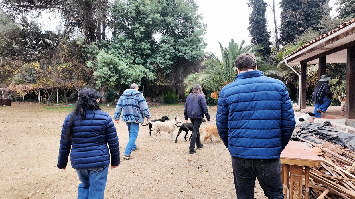 Cuando una entrega se transforma en una historia: nuestra visita a Fundación Santuario Amor en Acción